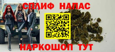 трава Сланцы