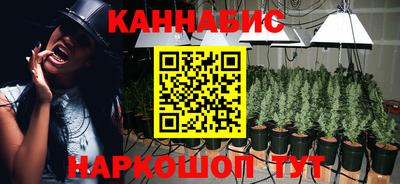 трава Сланцы