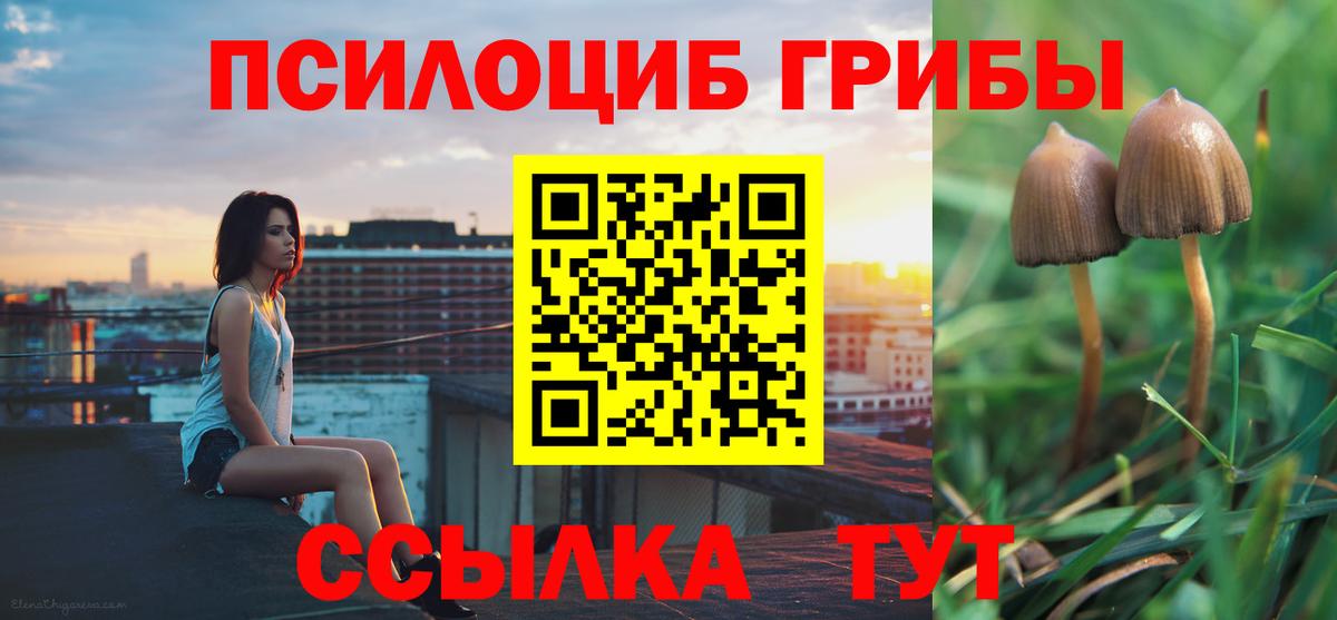 Новочеркасск  Псилоцибиновые грибы Cubensis  Вход с VPN 