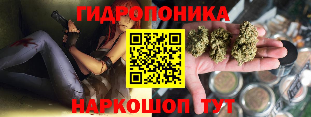 Новочеркасск  Канабис план  Бошки Шишки VHQ  Вход с VPN  Бошки Шишки планчик 